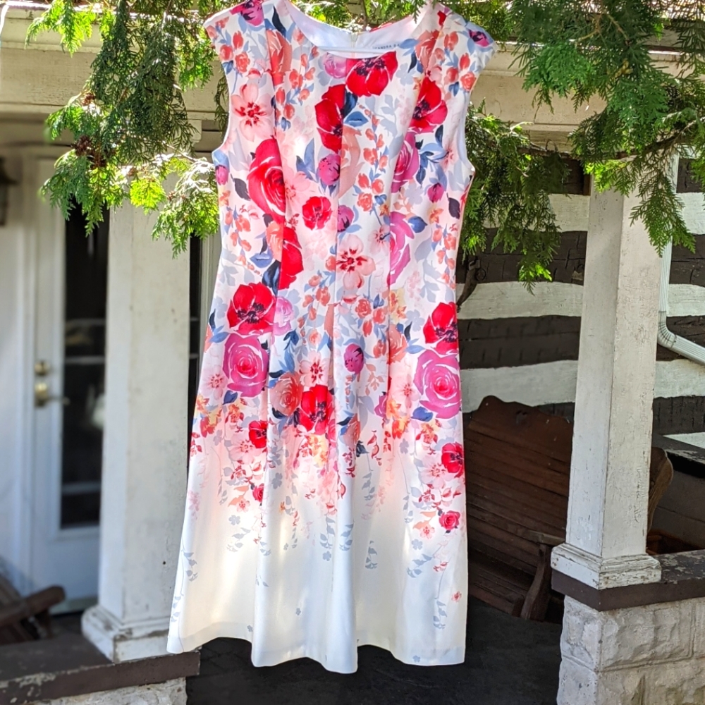Sandra Darren Pink Floral Dress Sz. 8